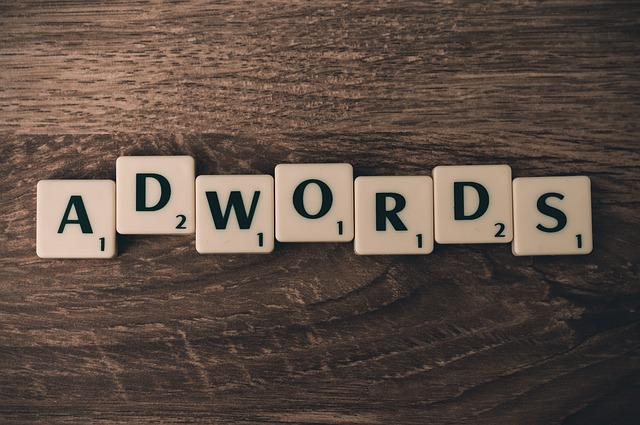 Profesjonalista  w dziedzinie kampani Adwords pomoże i przystosuje stosowną strategie do twojego biznesu.