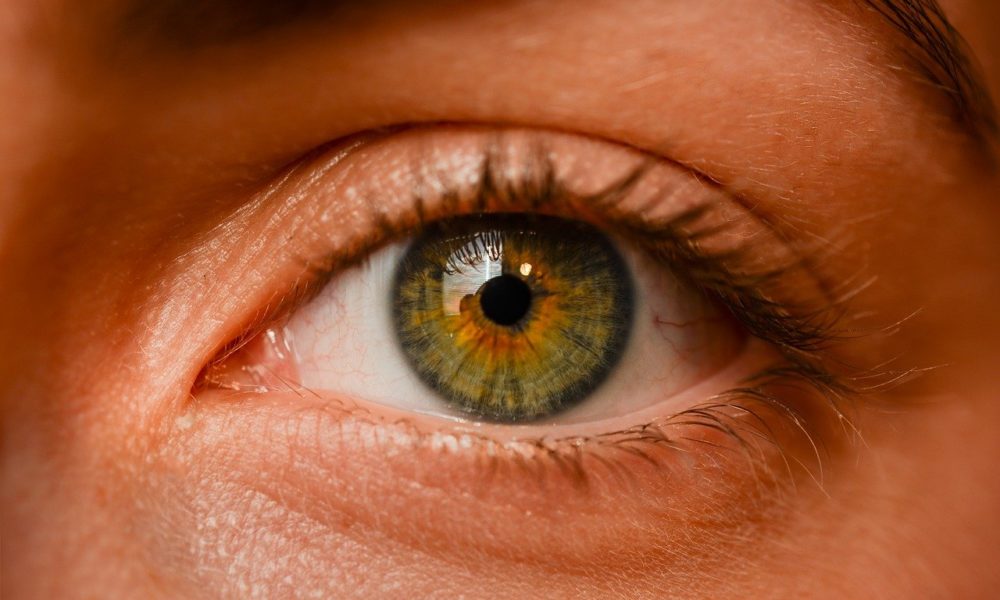 Oczy to wyrafinowany organ. To właśnie dzięki nim rozróżniamy.